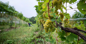 Finger Lakes Wine Country Photo Credit Stu Gallagher Photography (14)