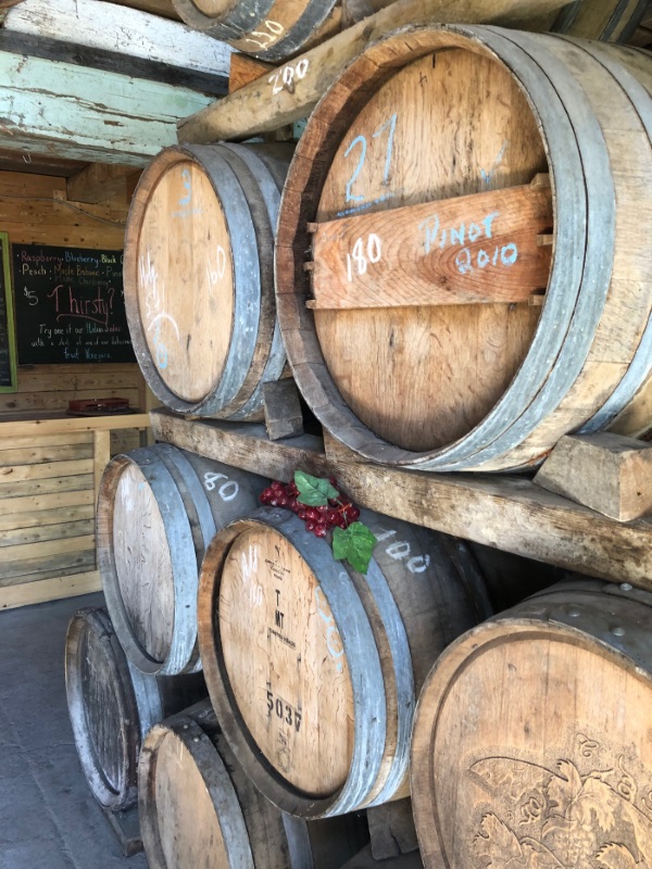 Barrels and Wine